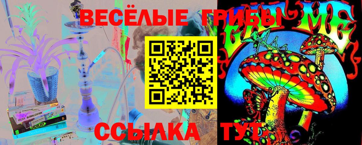 Галлюциногенные грибы прущие грибы Елабуга